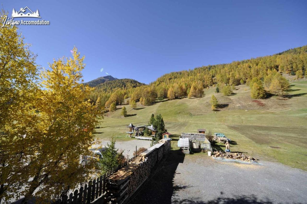 Casa Florin Giumel By Livigno Accomodation Εξωτερικό φωτογραφία